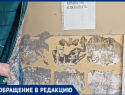 Инфекция в палате и лекарства из аптеки: жалоба на медицину в Волжском