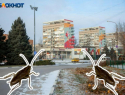 Нашествие тараканов в Волжском: причины, особенности и опасности