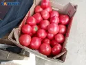 Местные помидоры возвращаются в Волжский? В Ахтубе сняли 5-летний карантин по томатной моли