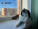 В Волжском сообщили, когда включат отопление 