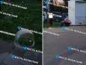«Тетя моет тазик для попкорна в луже»: в Волжском распространяют скандальное видео из городского парка