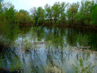 Река Ахтуба в Волжском разлилась из-за увеличенного сброса воды 