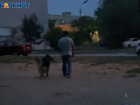 Двухметровый мужчина набросился на 35-килограммовую девушку из-за собак в Волжском: видео