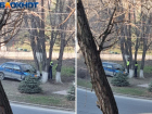 Воскресным утром водитель «пятнадцатой» разбился о дерево на кольце в Волжском