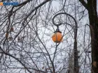 Близ Волжского жителей на полдня оставят без света