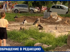 Стая диких собак чуть не растерзала ребенка в центре Волжского