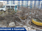 Кладбище новогодних ёлок устроили во дворе в Волжском: видео