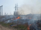 70 гектар сухостоя спалят в Волжском за весну 2024 года
