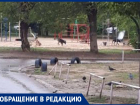 Стая собак разодрала кошек и напала на девушку с ребенком в Волжском