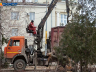 Снос елей на Фонтанной приостановят до осени в Волжском 