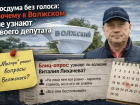 Госдума без голоса: почему в Волжском не узнают своего депутата