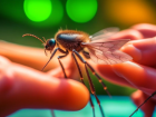 Октябрьские комары в Волжском - переносчики лихорадки Западного Нила