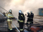 В Волжском сгорел автомобиль