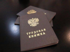 339 волжан были трудоустроены за месяц