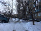 В Волжском рухнувшее во дворе дерево перегородило дорогу