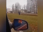 «У кого-то снег, а у нас траву косят», - жители Волжского прислали видео
