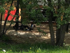Нашли повешенным 25-летнего парня на улице в Волгоградской области