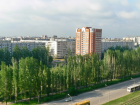В Волжском работает "горячая экологическая линия" круглые сутки