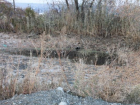 Волгоградской многодетной семье выделили участок с прудом из нечистот