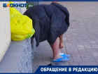 «Демонстрирует гнойную рану под окнами городской администрации»,- прохожая о центре Волжского