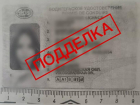 Волжанка заплатила за липовые права «Хондой» и свободой