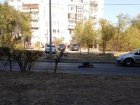 Безмятежный сон на дороге: опасное место для отдыха выбрал волжанин