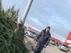 Пранкер-блогер из Волжского озадачил мрачных продавцов елок
