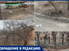 «Лицо города в ужасном состоянии»: волжская УК отказалась убирать сухие деревья у детской площадки, сославшись на платные услуги
