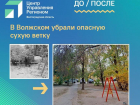 Опасная ветка над качелями: в Волжском оперативно устранили угрозу на детской площадке