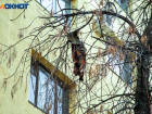 5-летний малыш выпал из окна в Волжском: ребенка госпитализировали