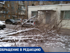 Упавшее дерево среди двора сняли на видео жители Волжского
