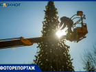 Новогоднюю красавицу установили в Волжском: фоторепортаж