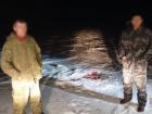 Под Волжским разоблачили двух браконьеров из-за тушки сайгака в машине родственника