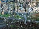 Не покупать новые вещи во вторник советует волжская травница