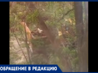 Волжане третьи выходные подряд жалуются на шум стройки у дома и бездействие полиции