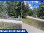 Сухие деревья рухнули на дорогу: в Волжском полгода игнорируют проблему
