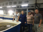В Волжском снова появится рыба: в Волгу выпустили 10 тысяч мальков 