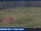 Жителей волжского поселка Краснооктябрьский терроризируют дикие лисы, которые таскают кур и могут напасть на детей