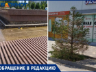 Почему не работает фонтан и умирают деревья на площади Танича в Волжском