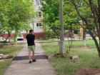 Мужчина отказался убирать фекалии за собакой на детской площадке в Волжском