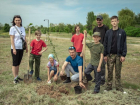 В парке Волжского появилась живая аллея в честь героев СВО