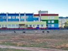 Стая бездомных собак охраняет детский сад в Волжском