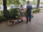 35 нарушений и шесть случаев бруцеллеза: чем опасны стихийные рынки в Волжском