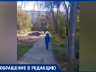 «Двор на 60% заполнен аварийными деревьями»: жители пожаловались на сухостои во дворе Волжского