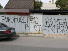  Фанат «Ротора» нарисовал граффити: «Руководство клуба в отставку»