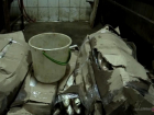 Более 7 тонн нелегальной рыбной продукции изъяли в Волгограде