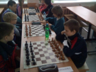 В Волжском завершилось первенство по шахматам