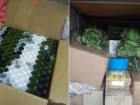 От полевой кухни до высоких технологий: Волжский закрывает потребности фронта