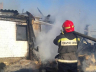 В Волжском вспыхнул приют для животных