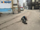Спящий на дороге мужчина загородил выезд со двора в Волжском